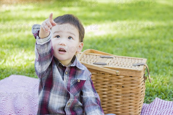 Cute young mixed-race boy sitting in park near picnic basket