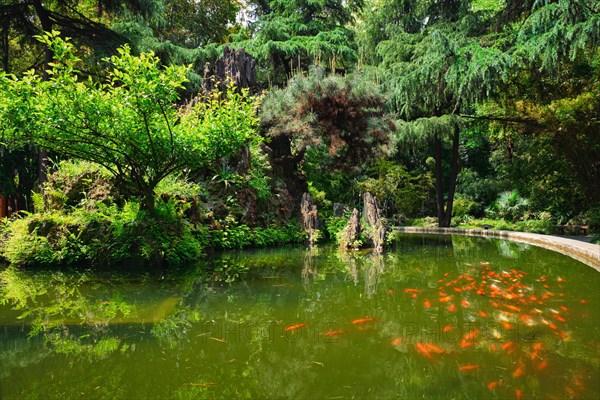 Pond in Wangjiang Pavilion