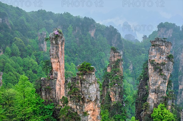 Famous tourist attraction of China