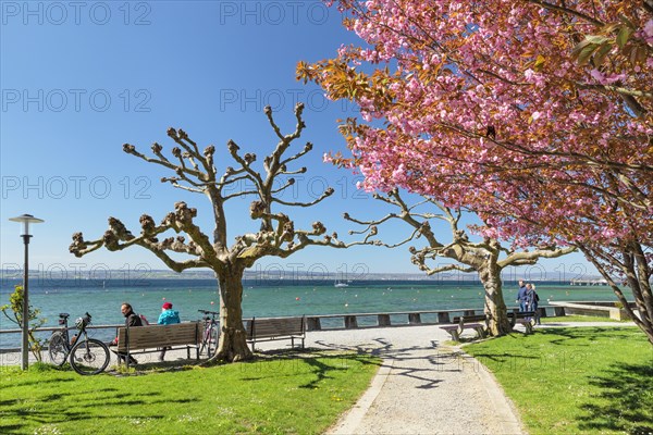 Lakeside park in spring