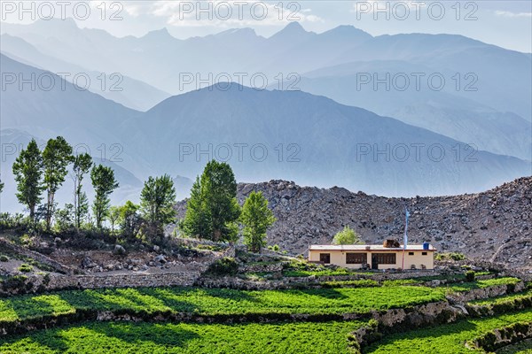 Nako village in Himalayas
