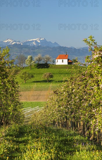 St. Anthony's Chapel with view of the Saentis