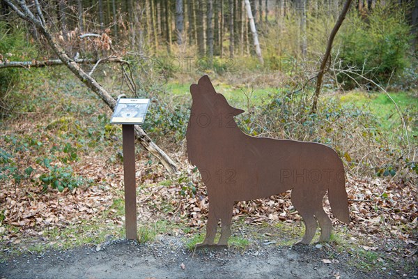 Inclusive and barrier-free nature trail The Wild Way