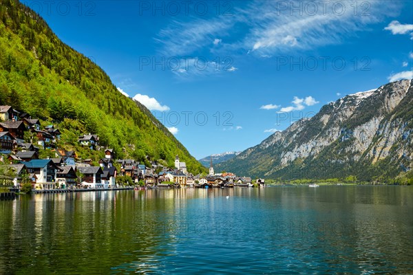 Swan in lake against Hallstatt village on Hallstatter See in Austrian alps. Salzkammergut region