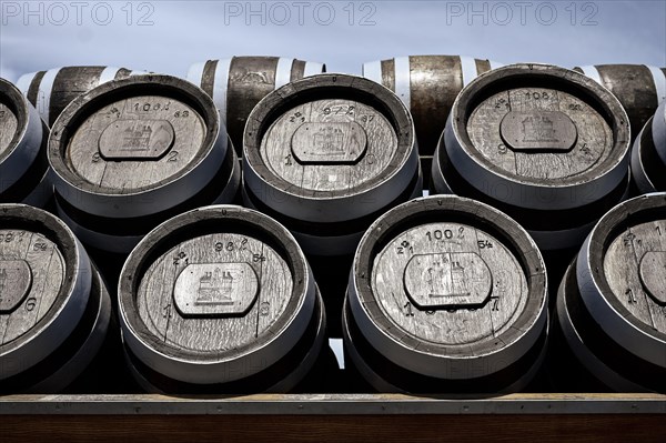 Beer kegs