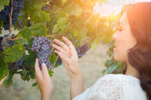 Beautiful young adult woman enjoying A walk in the grape vineyard