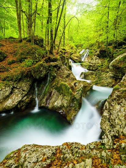 Lepenjica Torrent