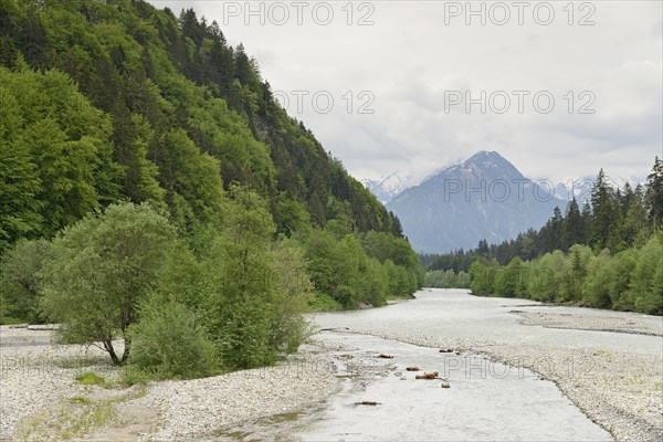 River landscape of the Iller near Fischen in the Allgaeu