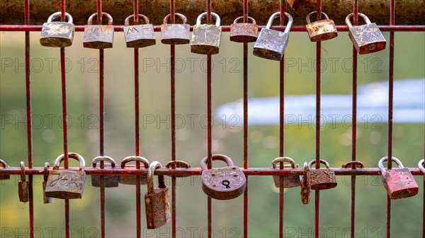 Padlocks on a lattice fence