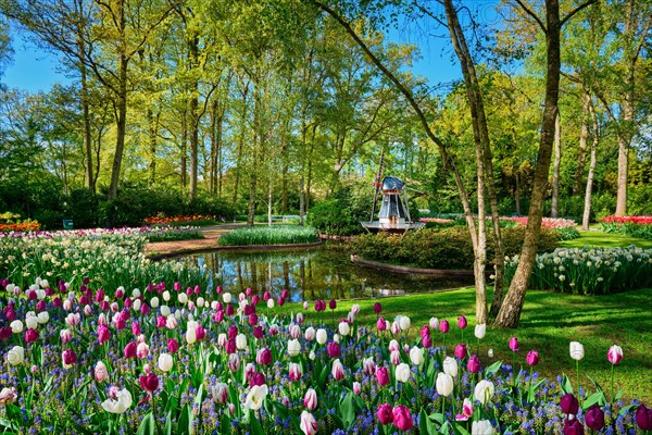 Keukenhof flower garden