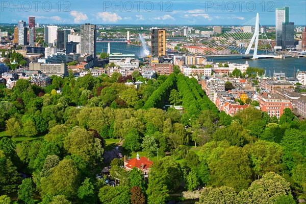 View of Rotterdam city and Het Park and the Erasmus bridge Erasmusbrug over Nieuwe Maas river from Euromast