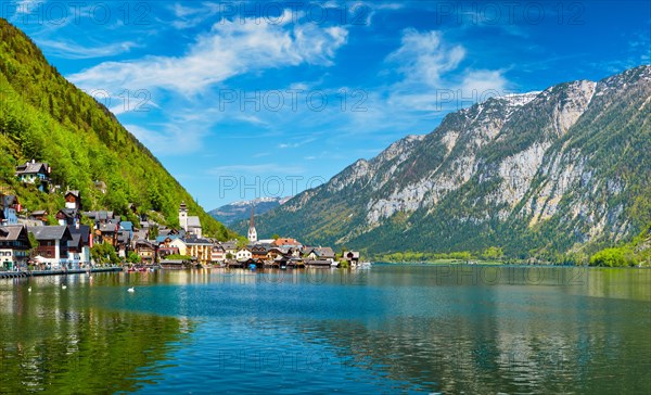 Swan in lake against Hallstatt village on Hallstatter See in Austrian alps. Salzkammergut region