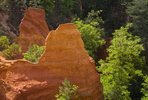 Ochre nature trail