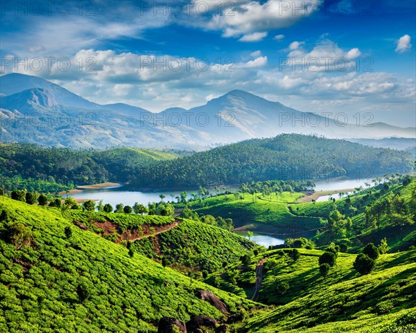 Tea plantations and Muthirappuzhayar River in hills near Munnar