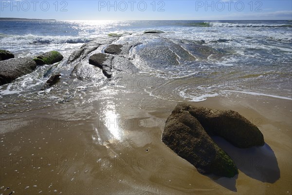 Smooth rocks on the beach