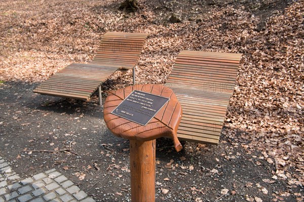 Relaxation loungers along the path