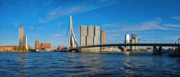 Panorama of Rotterdam cityscape with Erasmus bridge over Nieuwe Maas river on sunset. Netherlands