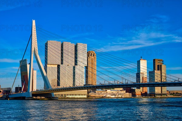 Rotterdam cityscape with Erasmus bridge over Nieuwe Maas river on sunset. Netherlands