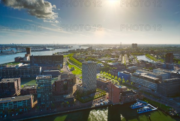 View of Rotterdam port and Nieuwe Maas river on sunset
