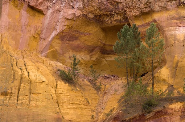 Ochre nature trail