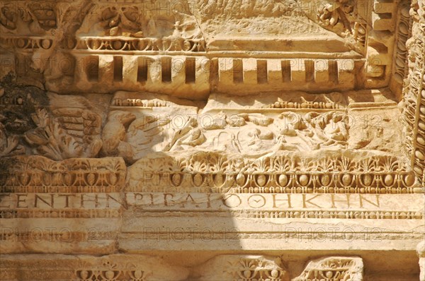 The celsus library detail image