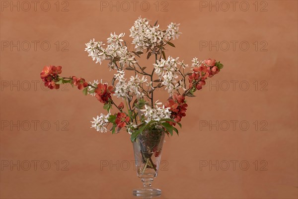 Spring bouquet with rock pear