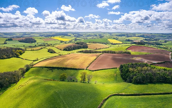 Fields and Meadows over English Village