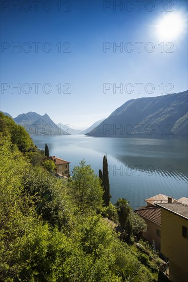 Houses and cypresses on the lake