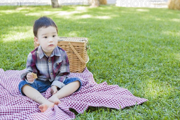 Cute young mixed-race boy sitting in park near picnic basket