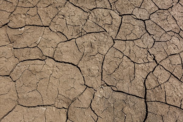 Scorsched earth ground mud with cracks texture