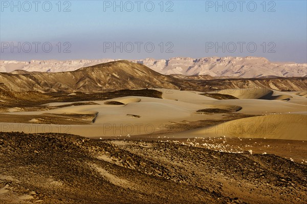 Sickle Dunes