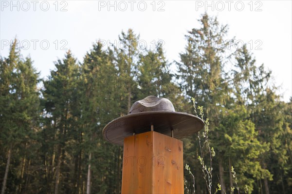 Stake with ranger hat