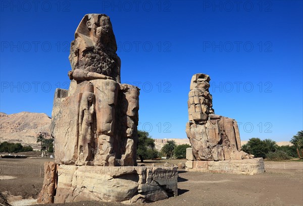 The Memnon Colossi at Luxor