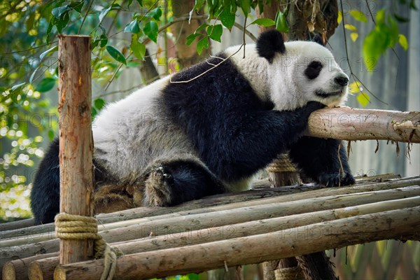 Chinese tourist symbol and attraction