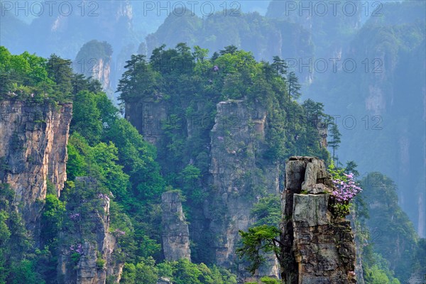 Famous tourist attraction of China