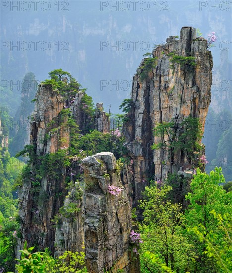 Famous tourist attraction of China