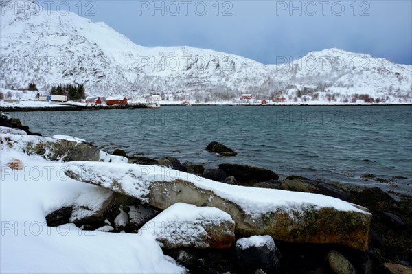 Traditional red rorbu houses on fjord shore in snow in winter. Lofoten islands