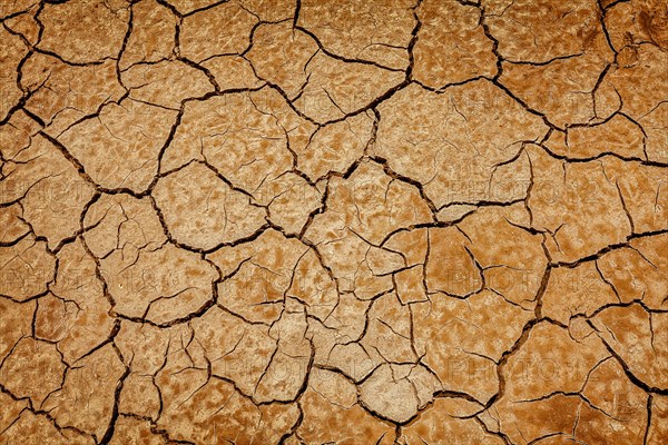 Scorsched earth ground mud with cracks texture