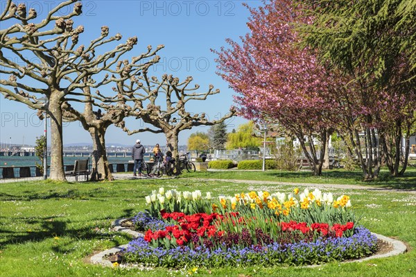 Lakeside park in spring