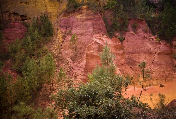 Ochre nature trail