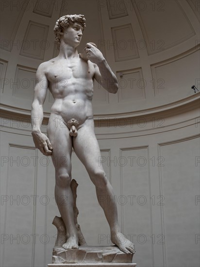 Statue of David by Michelangelo