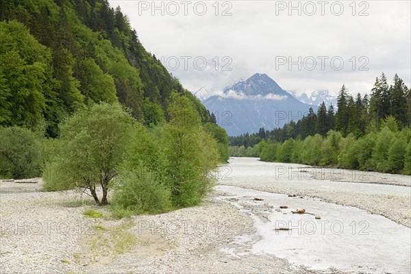 River landscape of the Iller near Fischen in the Allgaeu