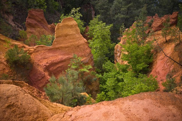 Ochre nature trail