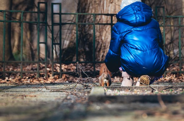 Girl feeds a squirrel