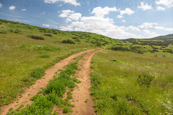 Dirt road in lush green meadow leading into the hills