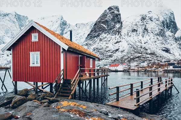 Traditional red rorbu house with grass covered roof in Reine village on Lofoten Islands