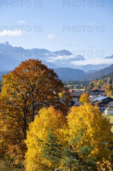 Alpine foothills