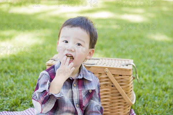 Cute young mixed-race boy sitting in park near picnic basket