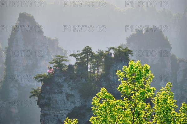 Famous tourist attraction of China