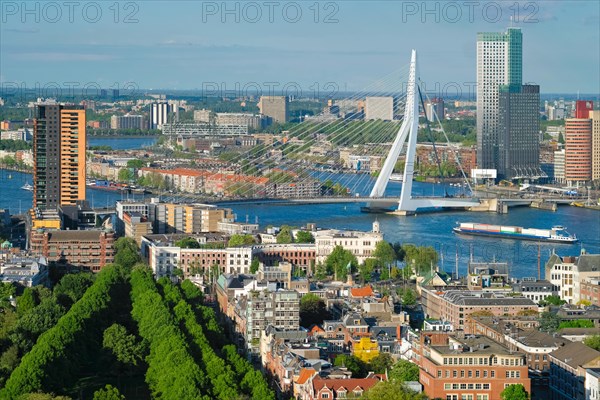 View of Rotterdam city and the Erasmus bridge Erasmusbrug over Nieuwe Maas river from Euromast